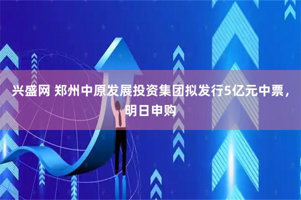 兴盛网 郑州中原发展投资集团拟发行5亿元中票，明日申购