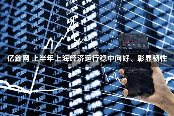 亿鑫网 上半年上海经济运行稳中向好、彰显韧性